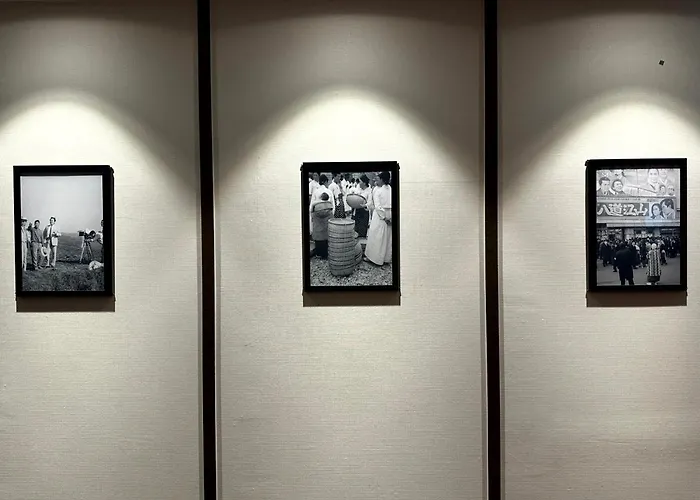 Nomad Live Busan